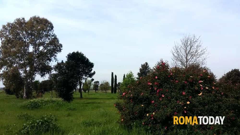 Niente parco di Centocelle a gennaio: va fatta una bonifica da ordigni bellici