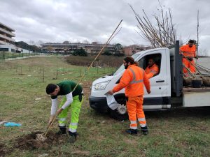 Forestazione urbana: a Casal Brunori arrivano oltre 4200 piante