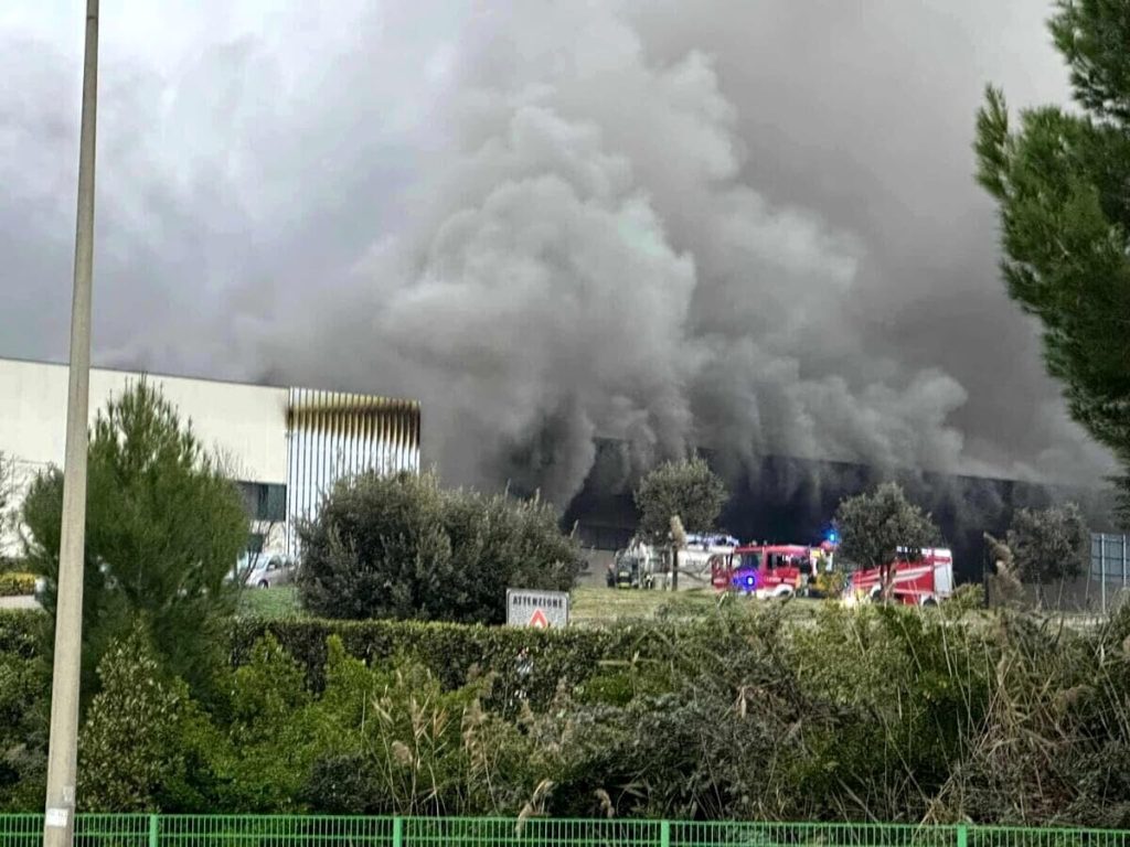 Incendio a Malagrotta, intensificati i controlli su frutta e verdura dell'area