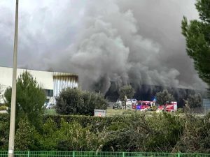 Incendio a Malagrotta, intensificati i controlli su frutta e verdura dell'area