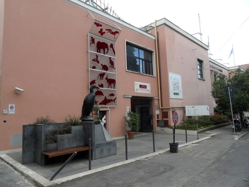 "S.T.E.M. in un secondo": dicembre scientifico per bambini a Technotown, Museo Civico di Zoologia e Planetario
