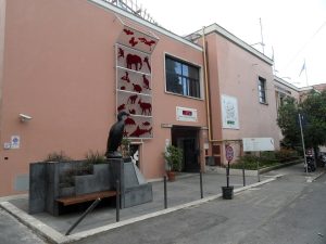 "S.T.E.M. in un secondo": dicembre scientifico per bambini a Technotown, Museo Civico di Zoologia e Planetario