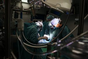 Scioperano medici e veterinari. Oggi a rischio interventi, visite e terapie