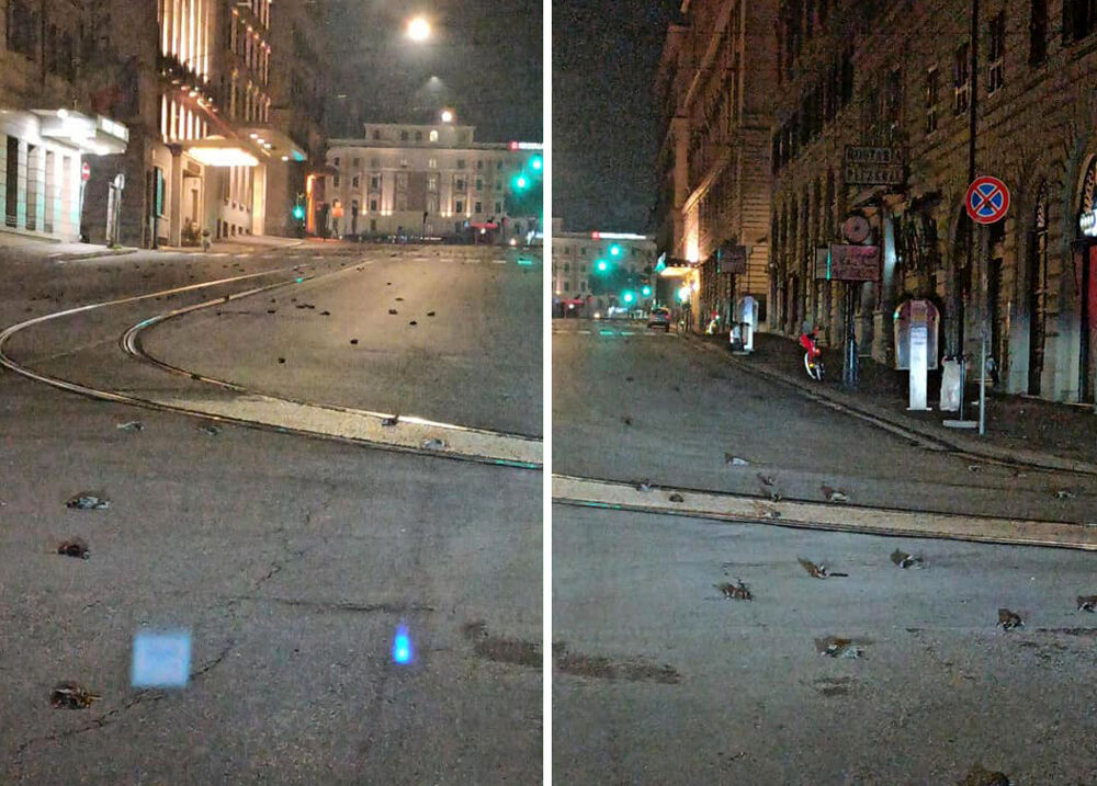 "Fermate i fuochi d'artificio a Villa Borghese". L'Enpa chiede l'intervento del ministro