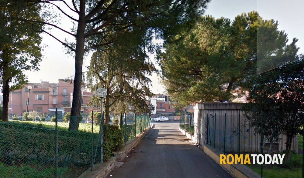 Due murales celebrativi per i cento anni di Torre Maura