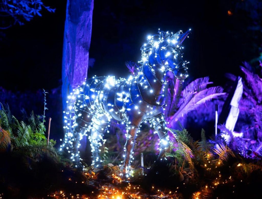 Weekend a Roma: 15 eventi da non perdere sabato 23 e domenica 24 dicembre
