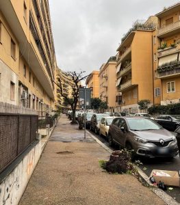 Alberi, al Trieste Salario abbattimenti a tappeto: "Verranno sostituiti. Non si interveniva da 20 anni"