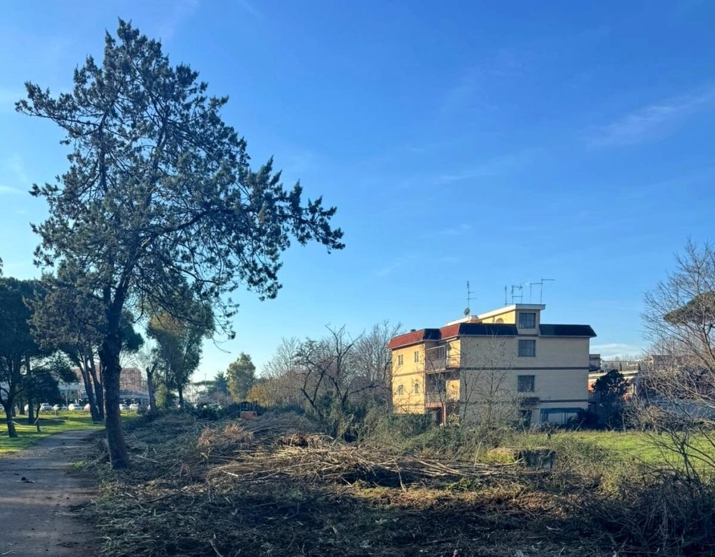 Torre Maura, prima la bonifica e poi il playground: il parco di via Pietro Belon si rifà il look