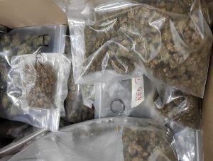 Marijuana legale: sequestrati 70 chili di canapa sativa, non poteva essere venduta