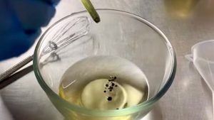 La truffa dell’olio contraffatto a Roma: Chef Ruffi aveva previsto tutto