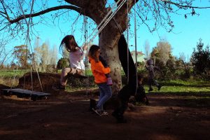 Niente voti, lezioni al mare o nel bosco. Vi porto nelle scuole all’aperto di Roma