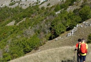 Trekking panoramico sul Monte Cervia