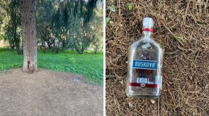 Lettori - Minori bevono e lanciano una bottiglia di vetro contro mamma e figlia in un parco