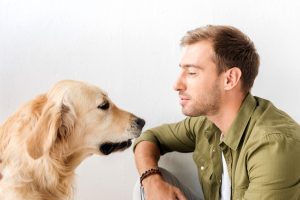 I cani si ricordano di noi? Ecco come funziona la loro memoria