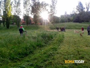 Parchi e aree ludiche, tutti gli interventi nel IX municipio. In ballo oltre 1 milione di euro