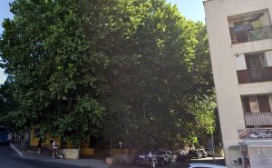 Ragazzino di 13 anni minacciato e rapinato da tre coetanei all'uscita dal parco