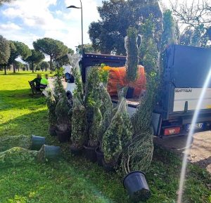 Parco di Centocelle, arrivano le prime piante: parte la forestazione attesa da 20 anni