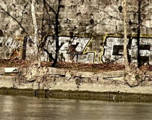 Banchine del Tevere nel degrado, Gassmann contro Gualtieri: "Quando ha finito con i red carpet ci pensa lei?"