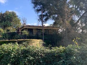 Ville di lusso, locali immersi nel verde. Vi porto nel borgo abusivo e fantasma di Roma nord