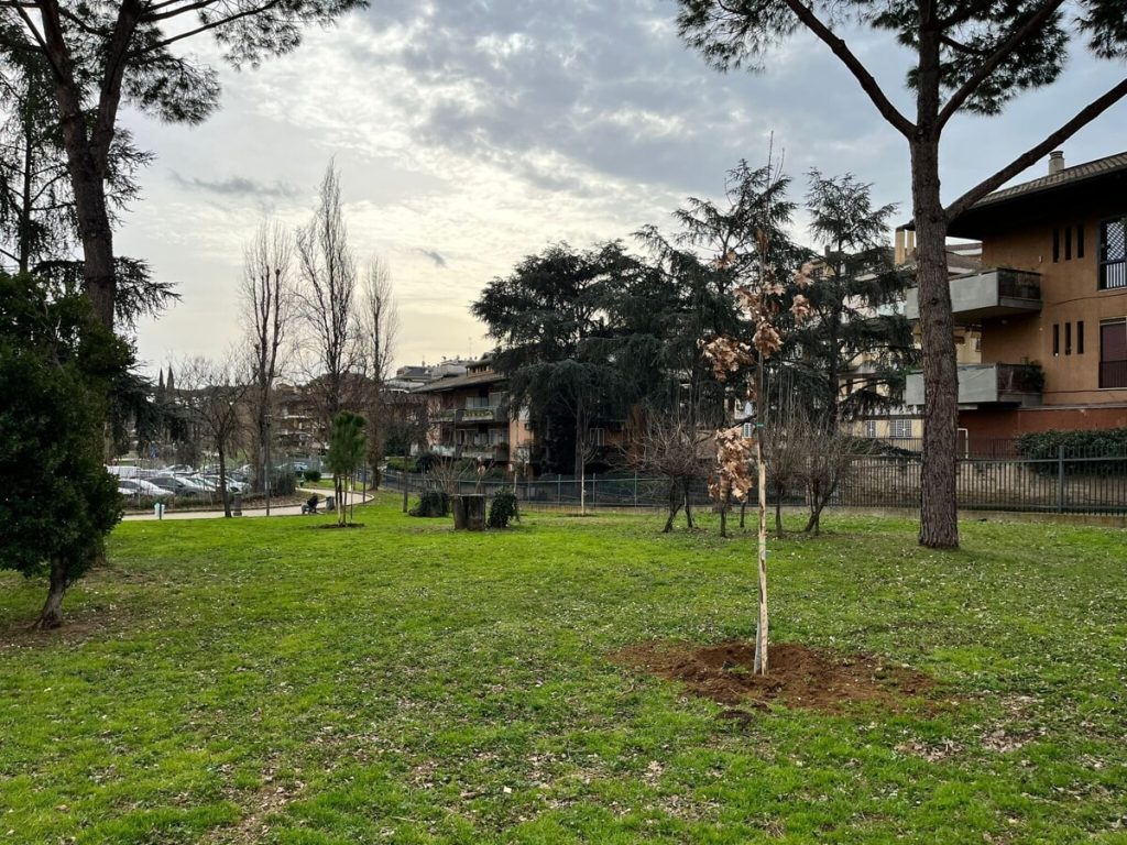 Dai parchi del Valli a quelli di Settebagni, arrivano oltre 200 nuovi alberi