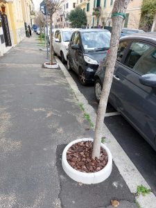 Il "Robin Hood" degli alberi che riqualifica le tazze a spese proprie. E rischia una multa
