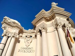 Bioparco, il Comune finanzia una nuova “foresta tropicale”: sarà grande due ettari
