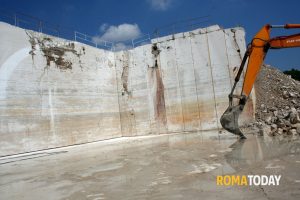 "Spariti 70 cani in un mese", animalisti presentano denuncia