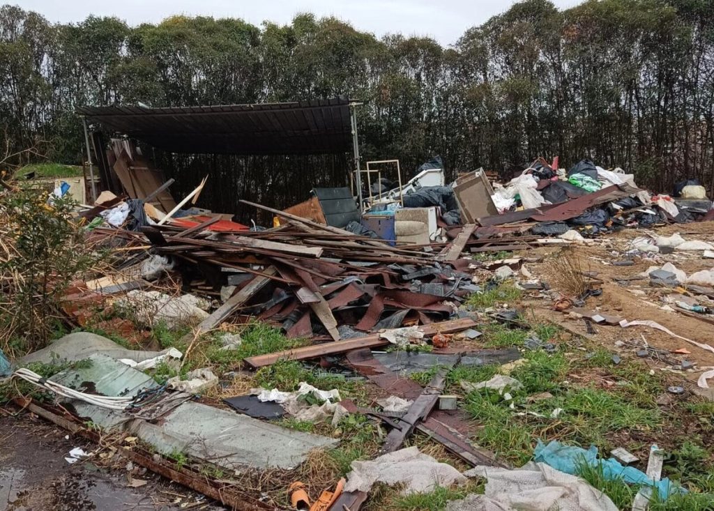 Mobili e carcasse animali, all'agrario Garibaldi c'è una discarica. Forza Italia scrive a Gualtieri