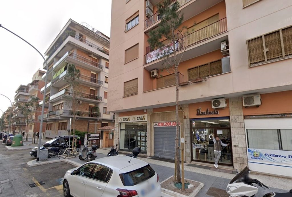 Appio Claudio, terminata la sostituzione dei pini tagliati per il restyling del viale