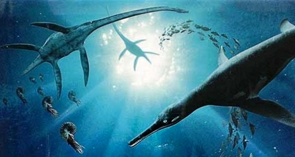 Mostri marini, i bambini alla scoperta delle creature preistoriche degli abissi