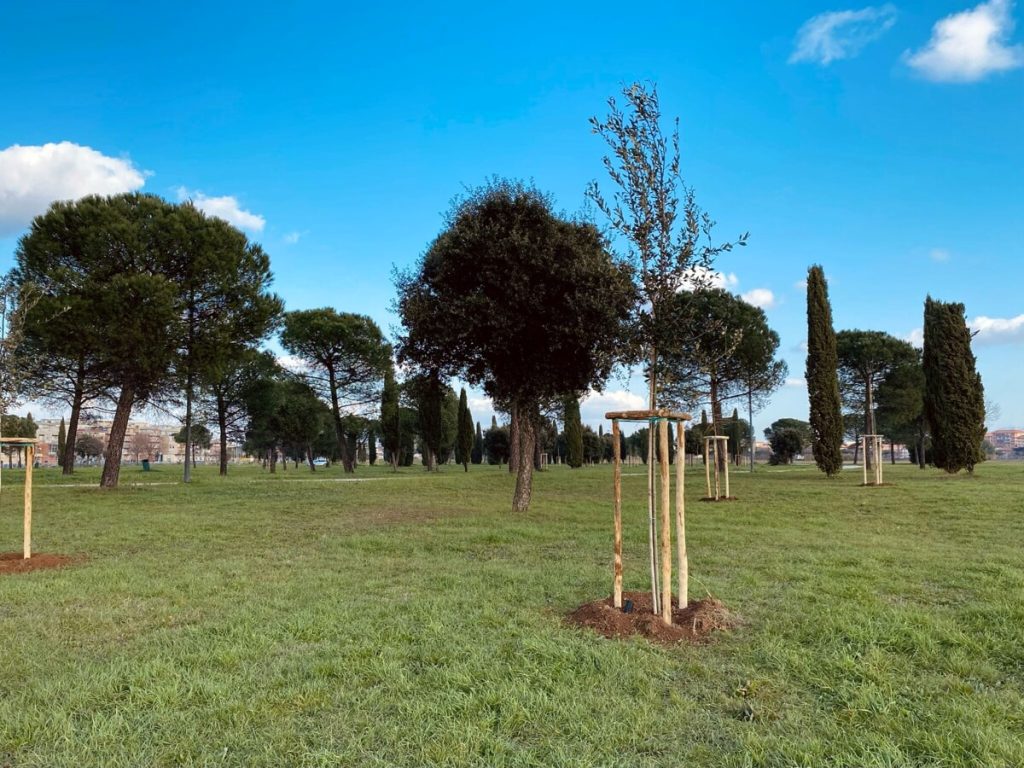 Parco di Centocelle, piantati i primi 150 alberi. "Diventerà un grande bosco urbano"