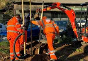 Viale Leonardo da Vinci diventa più verde: piantati 83 alberi nell'area prima ostaggio del cantiere