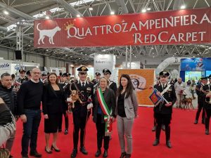Quattro zampe, dalla fiera il Campidoglio lancia un appello: “Visitate i nostri canili”