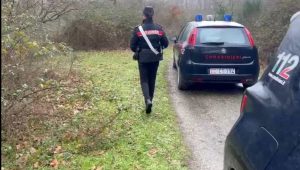 Paolo Pasqualini morto sbranato dai cani, disposte perizie sui tre rottweiler 