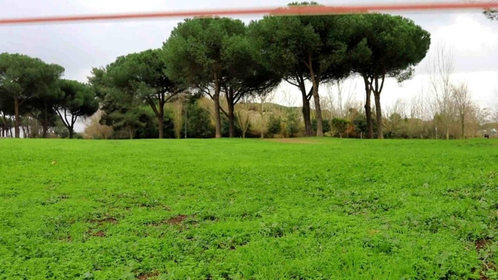 Talk con l'artista Sonia Andresano