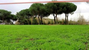 Talk con l'artista Sonia Andresano