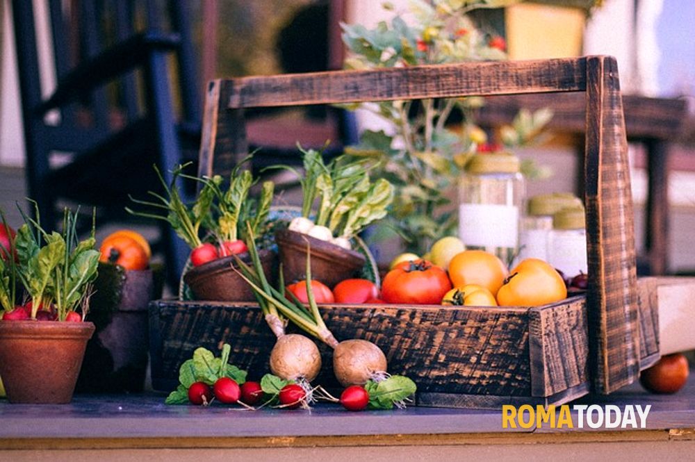 Un farmer’s market all’ombra dello stadio Olimpico: in piazza Maresciallo giardino arrivano i produttori a km0