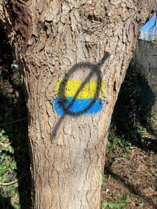 Scambiano i segnavia per bandiere dell'Ucraina: vandalizzata la via di Francesco