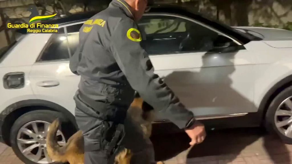 Corriere dei Castelli fermato al porto con 125 chili di hashish. Sequestro da un milione di euro