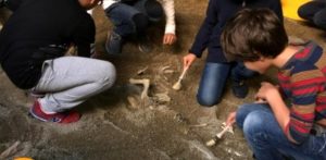 Shark Lab: bambini alla scoperta degli squali preistorici