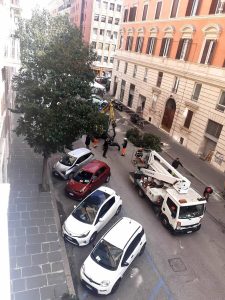 Via dei Gracchi, tagliati tutti gli alberi. Il comune promette di piantarne il doppio