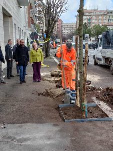 Piantati 45 alberi in una sola strada: “Compensiamo gli abbattimenti del passato”