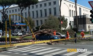 Paura a Roma, albero crolla sulla Colombo su due auto. Un ferito