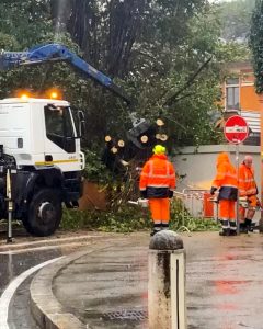 Maltempo, lunedì 11 marzo chiusa la scuola Giacomo Badini per il crollo di un albero. Via Sales messa in sicurezza dopo il cedimento di un muro