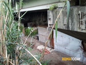 Irregolare in Italia dormiva in una baracca sotto al viadotto