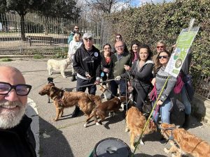 Non solo scritte sui muri e adesivi pubblicitari. A Roma arriva anche il “cacca retake”