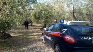 Vive per quattro mesi con il padre morto in casa, poi denuncia tutto ai carabinieri