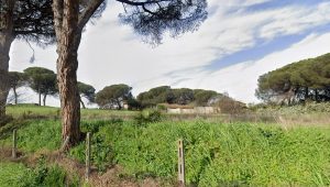 Tre milioni per riqualificare i casali abbandonati: “Si trovano in un’area di 14 ettari, sono una risorsa per tutti”