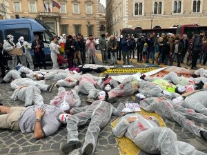 Ostia, il municipio X è il primo a dire no alla riforma del codice stradale: il ddl di Salvini bocciato anche dal Campidoglio