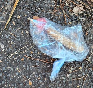 Esche killer per uccidere cani e gatti: individuata la responsabile